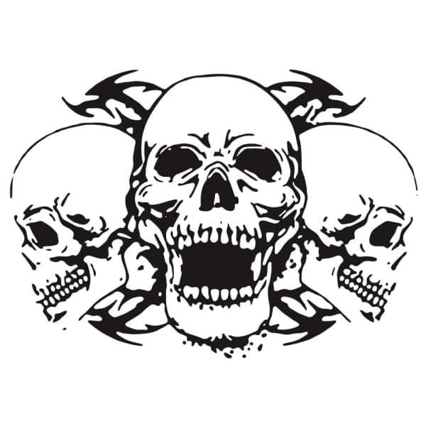 skull v1 decal